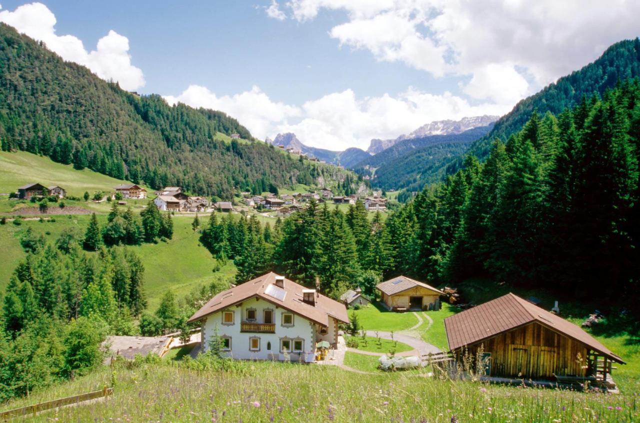 Apartment Puciacia - Bauernhof Santa Cristina Val Gardena Kültér fotó