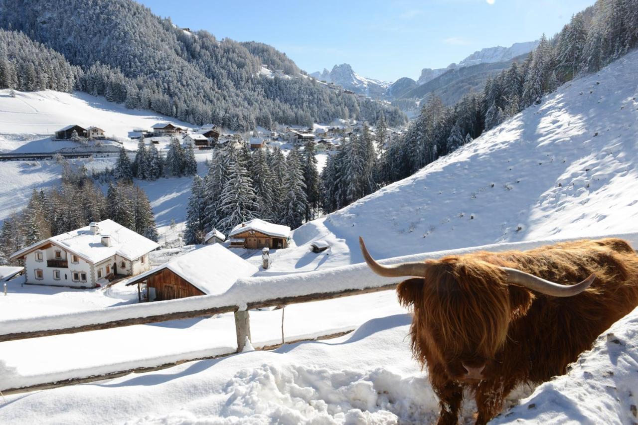 Apartment Puciacia - Bauernhof Santa Cristina Val Gardena Kültér fotó