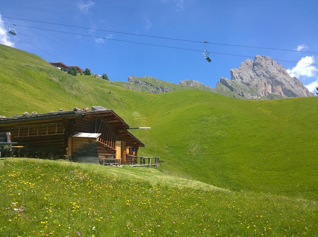 Apartment Puciacia - Bauernhof Santa Cristina Val Gardena Kültér fotó